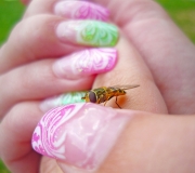 Girl & mini bee, Všelka na dlani