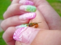 Girl & mini bee, Všelka na dlani