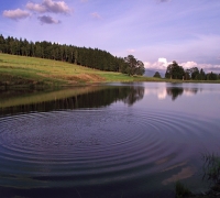 Jezero, reakce na kámen