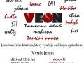 veon_plakat_a4_vendulka