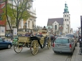 P1060062a